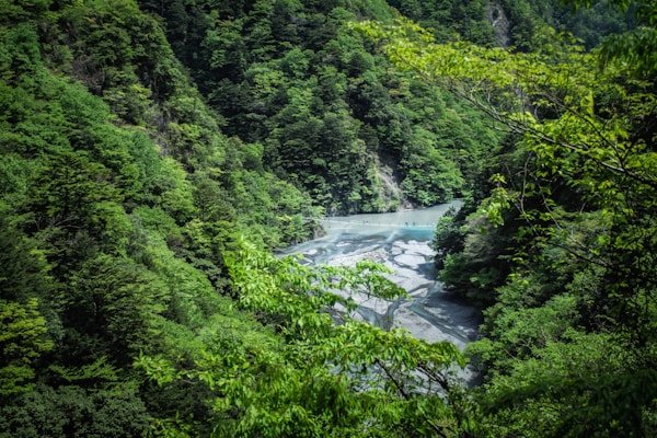 绿源环保公益短剧《地球守护者》 - 河马剧场网页版登录入口客户案例展示